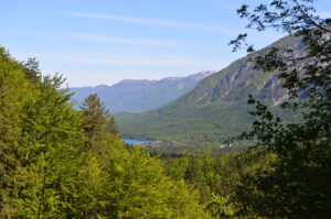 Julian Alps, by Prof. Kovarik, May 2014. 